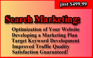 Search Engine Optimization & Marketing Package