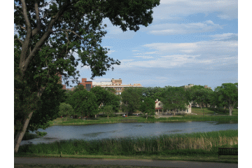 Minneapolis scene