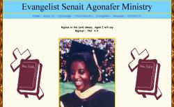 Senait Agonafer website design graphic