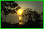 thumbnail of slide image